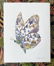 Load image into Gallery viewer, Original Pressed Plant Artwork - 'Forget-me-not & Bluebell Butterfly'
