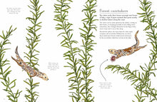 Load image into Gallery viewer, Beneath The Waves - Signed Paperback Book with 3 Exclusive Mini Prints