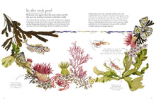Load image into Gallery viewer, Beneath The Waves - Signed Paperback Book with 3 Exclusive Mini Prints