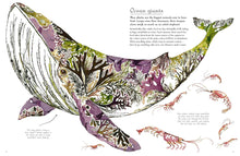 Load image into Gallery viewer, Beneath The Waves - Signed Paperback Book with 3 Exclusive Mini Prints
