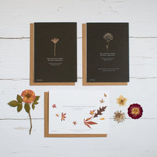 Load image into Gallery viewer, Moonlight Forest- Set of three Recycled Greetings cards
