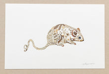 Load image into Gallery viewer, Original Pressed Plant Artwork -  Grey Mouse 1