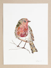 Load image into Gallery viewer, Original Pressed Plant Artwork -  Winter Robin