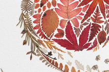 Load image into Gallery viewer, Original Pressed Plant Artwork -  Winter Robin