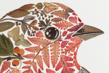 Load image into Gallery viewer, Original Pressed Plant Artwork -  Winter Robin