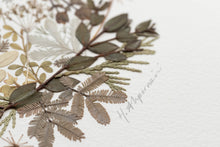 Load image into Gallery viewer, Original Pressed Plant Artwork -  Winter Hare