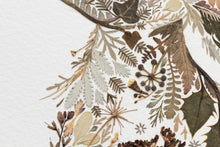 Load image into Gallery viewer, Original Pressed Plant Artwork -  Winter Hare