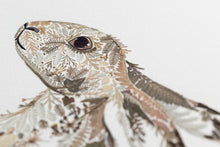 Load image into Gallery viewer, Original Pressed Plant Artwork -  Winter Hare