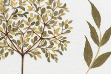 Load image into Gallery viewer, Original Pressed Plant Artwork -  'Summer Tree' from A Year in the Wild