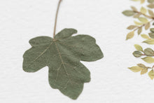 Load image into Gallery viewer, Original Pressed Plant Artwork -  'Summer Tree' from A Year in the Wild