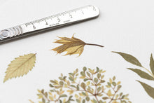 Load image into Gallery viewer, Original Pressed Plant Artwork -  'Summer Tree' from A Year in the Wild
