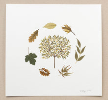 Load image into Gallery viewer, Original Pressed Plant Artwork -  'Summer Tree' from A Year in the Wild