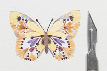 Load image into Gallery viewer, Original Pressed Plant Artwork -  'Butterflies' from A Year in the Wild