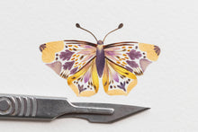 Load image into Gallery viewer, Original Pressed Plant Artwork -  'Butterflies' from A Year in the Wild