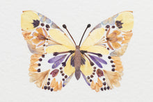 Load image into Gallery viewer, Original Pressed Plant Artwork -  'Butterflies' from A Year in the Wild