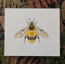 Load image into Gallery viewer, Original Pressed Plant Artwork - 'Buttercup & Primula Honey Bee'