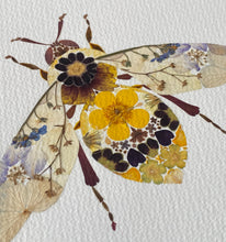 Load image into Gallery viewer, Original Pressed Plant Artwork - 'Buttercup & Primula Honey Bee'