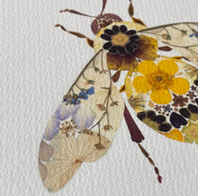 Load image into Gallery viewer, Original Pressed Plant Artwork - 'Buttercup & Primula Honey Bee'