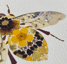 Load image into Gallery viewer, Original Pressed Plant Artwork - 'Buttercup & Primula Honey Bee'