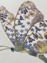 Load image into Gallery viewer, Original Pressed Plant Artwork - 'Forget-me-not & Bluebell Butterfly'