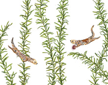 Load image into Gallery viewer, Otters Giclée Print - 11"x14"
