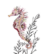 Load image into Gallery viewer, Spiny Seahorse Giclée Print - 11" x 14"