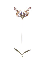 Load image into Gallery viewer, Honey Bees With Lavender Giclée Print - 8" x 10"