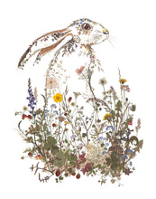 Load image into Gallery viewer, Wildflower Hare Giclée Print - 11"x14"