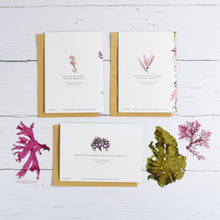 Load image into Gallery viewer, Ocean Bloom - Set of three Recycled Greetings cards