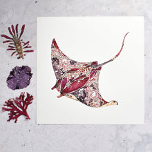 Load image into Gallery viewer, Manta Ray Seaweed Giclée Print - 12" x 12"