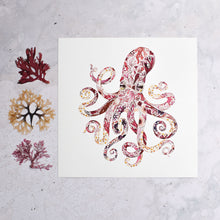 Load image into Gallery viewer, Octopus Seaweed Giclée Print - 12" x 12"