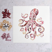 Load image into Gallery viewer, Octopus Seaweed Giclée Print - 12" x 12"