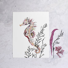Load image into Gallery viewer, Spiny Seahorse Giclée Print - 11" x 14"