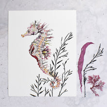 Load image into Gallery viewer, Spiny Seahorse Giclée Print - 11" x 14"