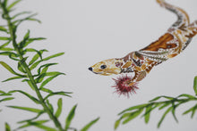 Load image into Gallery viewer, Otters Giclée Print - 11"x14"