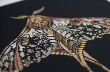 Load image into Gallery viewer, Comet Moth Giclée Print - A4/A3