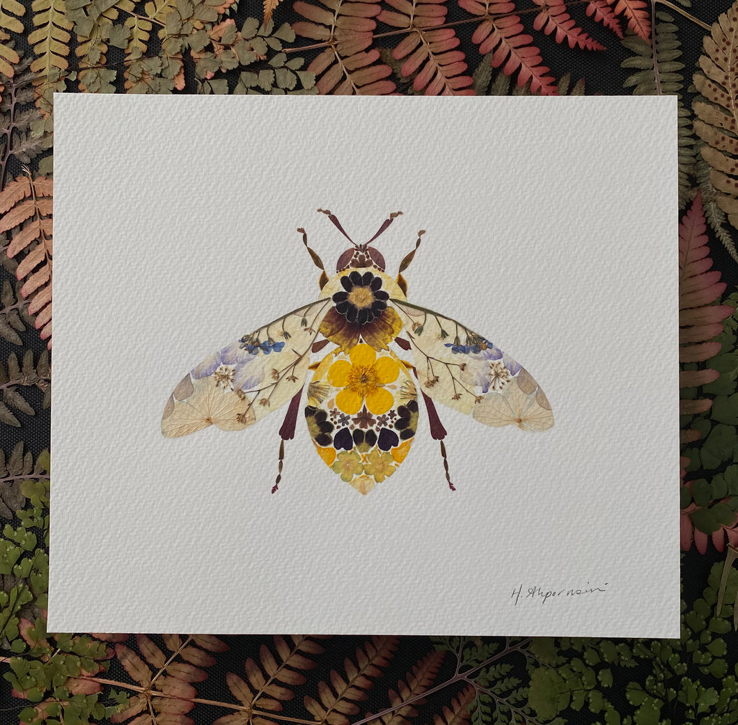 Original Pressed Plant Artwork -  'Buttercup & Primula Honey Bee'