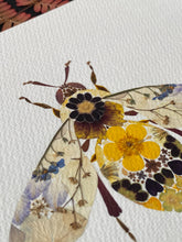 Load image into Gallery viewer, Original Pressed Plant Artwork -  &#39;Buttercup &amp; Primula Honey Bee&#39;
