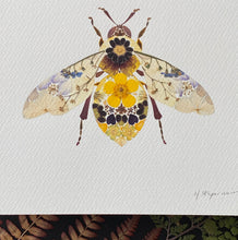 Load image into Gallery viewer, Original Pressed Plant Artwork -  &#39;Buttercup &amp; Primula Honey Bee&#39;
