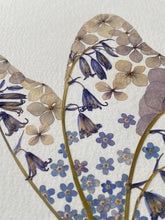 Load image into Gallery viewer, Original Pressed Plant Artwork -  'Forget-me-not &amp; Bluebell Butterfly'
