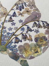 Load image into Gallery viewer, Original Pressed Plant Artwork -  'Forget-me-not &amp; Bluebell Butterfly'

