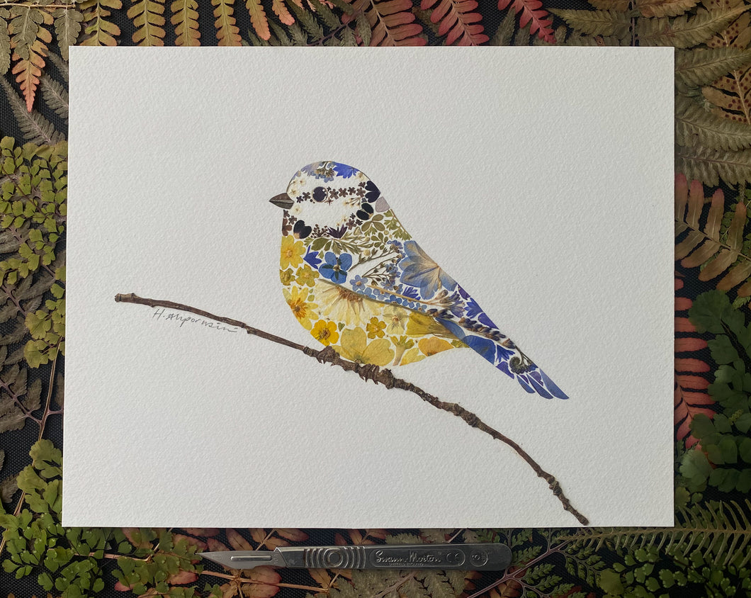 Original Pressed Plant Artwork -  'Blue-tit'