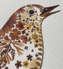 Load image into Gallery viewer, Original Pressed Plant Artwork -  'Mistle Thrush'
