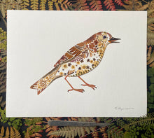 Load image into Gallery viewer, Original Pressed Plant Artwork -  'Mistle Thrush'
