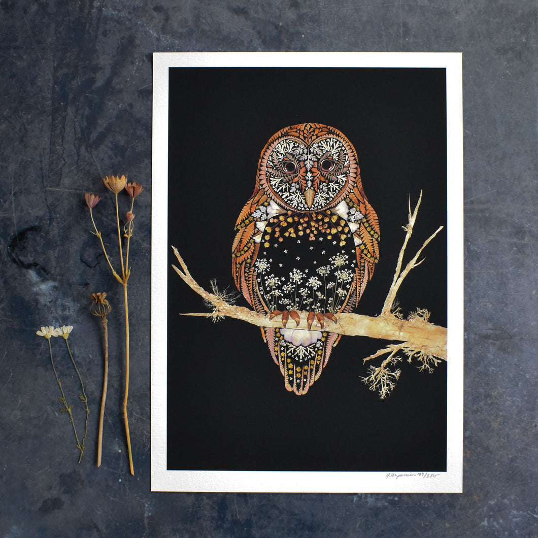 Barn Owl Giclée Print - A4/A3