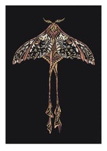 Load image into Gallery viewer, Comet Moth Giclée Print - A3
