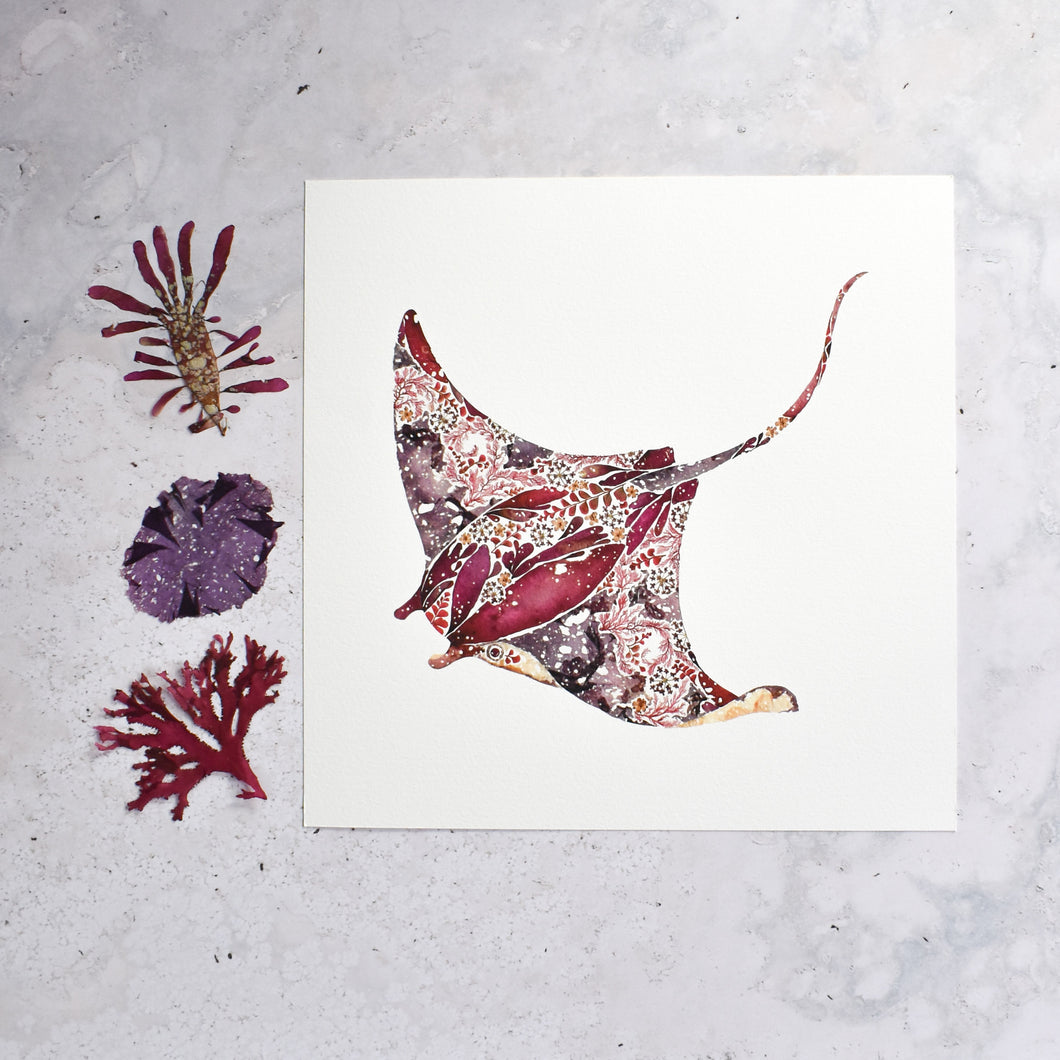 Manta Ray Seaweed Giclée Print - 12